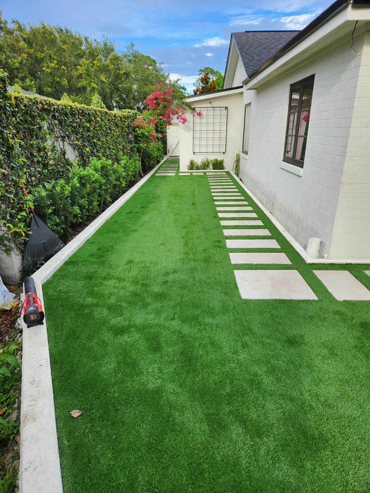 Backyard Turf